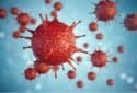 Repurposing FDA-approved drugs may help combat SARS-CoV-2