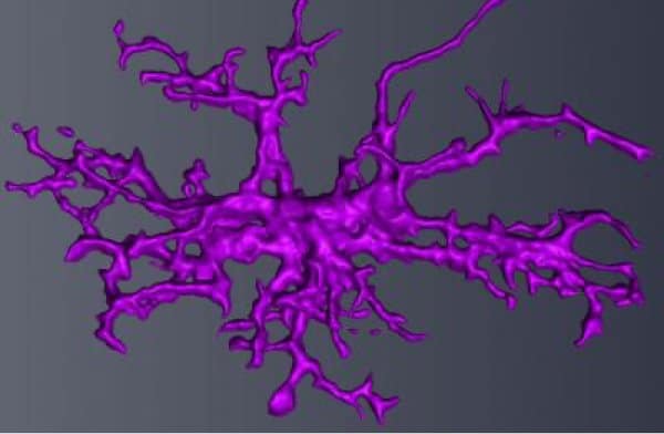 229220_web - Scripps Research 229220_web - Scripps Research