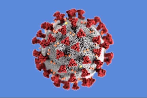 Antibody neutralizes SARS and COVID-19 coronaviruses