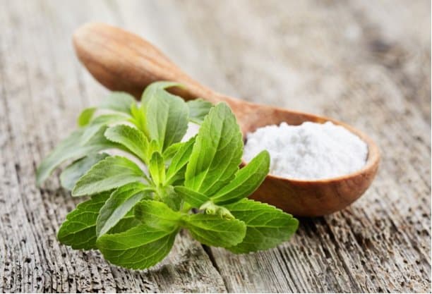 Depositphotos_195100258_s-2019 Stevia extract