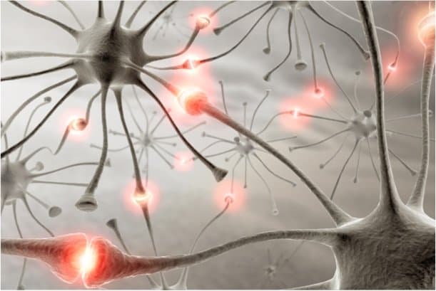 Hidden network of enzymes accounts for loss of brain synapses in Alzheimer’s
