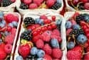 More berries, apples and tea may have protective benefits against Alzheimer's
