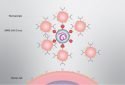 Nanosponges could neutralize SARS-CoV-2