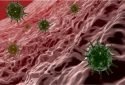 Coronavirus infection hotspots in human body