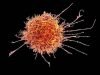 Reinvigorating exhausted T cells could improve cancer immunotherapy