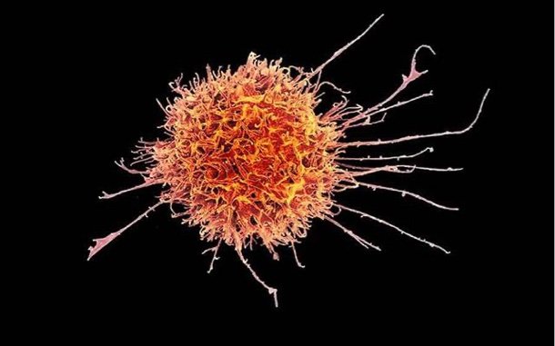 Engineering T cells to improve cancer immunotherapy