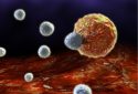 How cancers starve themselves to hurt immune cells