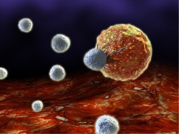Depositphotos_10051984_s-2019-Andreus T cells attacking a cancer cell.