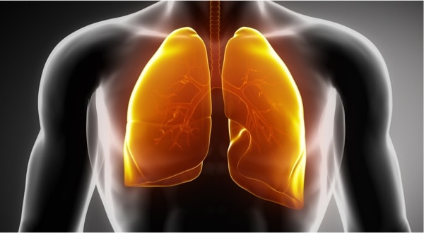 Depositphotos_13281421_s-2019-crop-CLIPAREA Lungs