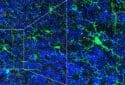Immune cells sculpt circuits in the brain