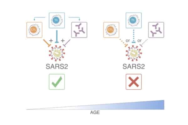 243171_web - Crotty Lab - Cell Press. 243171_web - Crotty Lab - Cell Press.