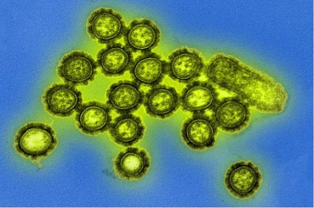 Middle-aged individuals may be in a perpetual state of H3N2 influenza virus susceptibility