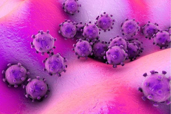 Depositphotos_123065662_s-2019-katerynakon viruses