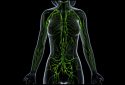 Severe lymphatic disorder effectively treated with precision medicine