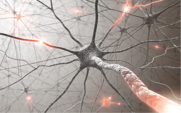 Multiple sclerosis: Immune cells silence neurons by removing synapses