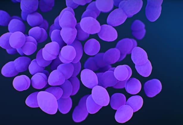 vancomycin-resistant_enterococcus_369x285 vancomycin-resistant_enterococcus_369x285