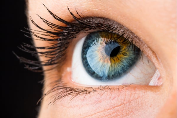 Depositphotos_74296579_s-2019-mishoo eye