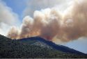Wildfire smoke carry microbes that can cause infectious diseases