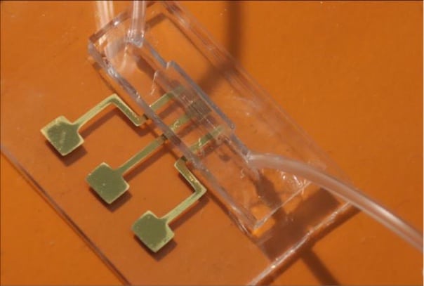 COVID-19 test chip - College of Engineering - Carnegie Mellon University COVID-19 test chip - College of Engineering - Carnegie Mellon University