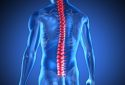 ‘Dancing molecules’ successfully repair severe spinal cord injuries