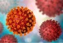 Scientists identify 'immune cop' that detects SARS-CoV-2