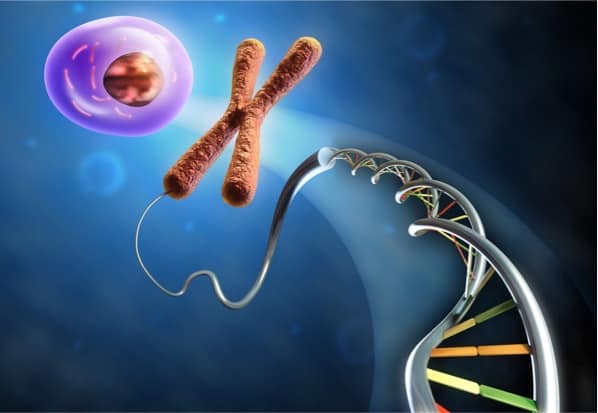 genome, chromosome