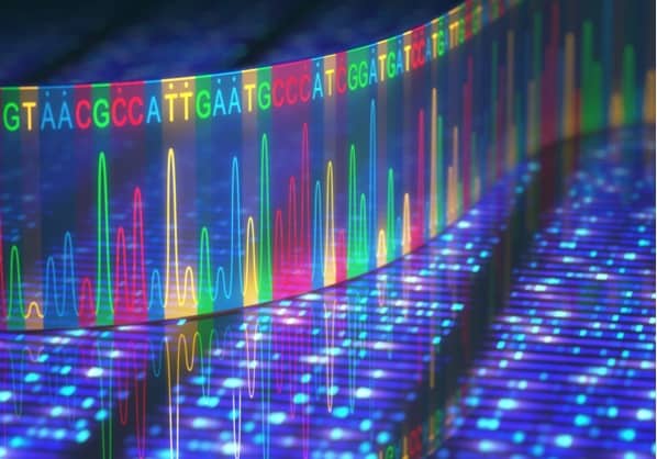 DNA sequencing