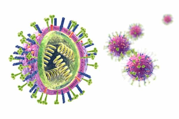 Depositphotos_264544494_s-2019-Axel_Kock viruses