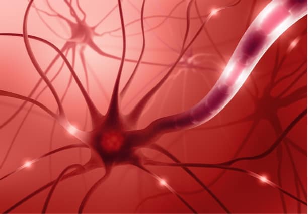 Depositphotos_63205631_s-2019-ktsdesign neurons