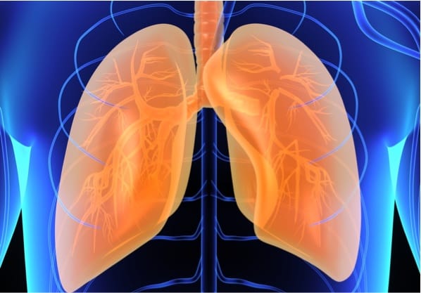 Depositphotos_77467924_s-2019crop-sciencepics lungs