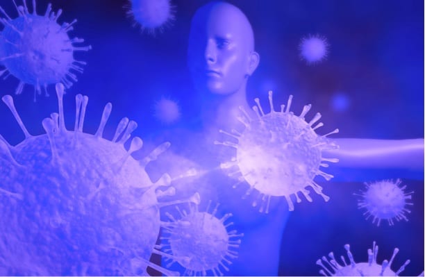 Chronic viral infections can have lasting effects on human immunity, similar to aging