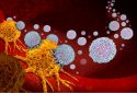 Researchers load CAR T cells with oncolytic virus to treat solid cancer tumors