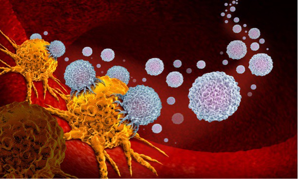 Researchers load CAR T cells with oncolytic virus to treat solid cancer tumors