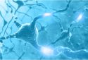 Gene therapy targeting overactive brain cells could treat neuropsychiatric disorders