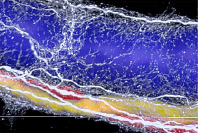 271240_web - Adori et al Science Advances 271240_web - Adori et al Science Advances