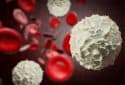 How blood stem cells use fat to fight infection