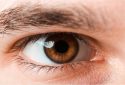 Preclinical tests show path toward treatment of eye melanoma