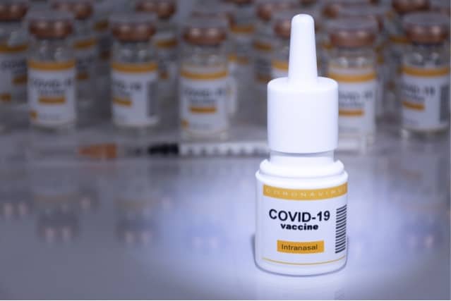 Inhaled COVID-19 vaccine prevents disease and transmission in animals