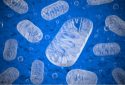 Repair of mitochondrial recycling defect linked to Parkinson’s disease