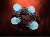 Targeting interleukin-6 could help relieve cancer immunotherapy side effects