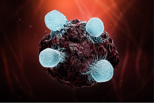 Boosting cancer immunotherapy by driving up immune response at tumor site