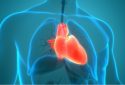 Cell-derived vesicles may help repair abnormal heart rhythm