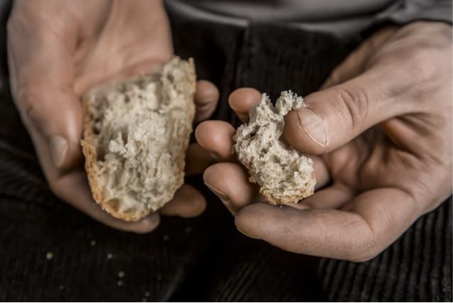 Pieces of bread in the hands, hunger