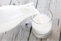 Higher intake of dairy milk associated with greater risk of prostate cancer
