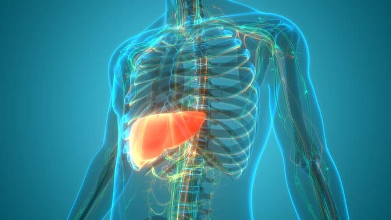Fatty liver disease endangers brain health