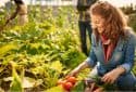 Community gardening may help reduce cancer risk, boost mental health