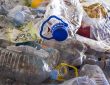 Health impact of chemicals in plastics is handed down two generations