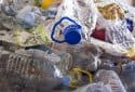 Health impact of chemicals in plastics is handed down two generations