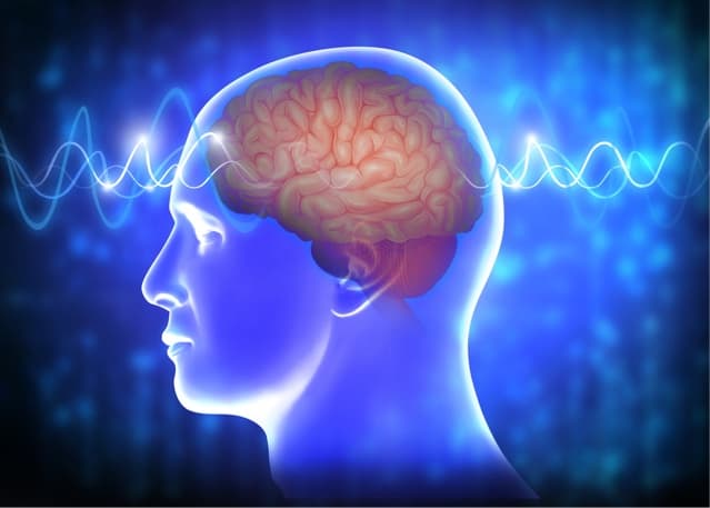 Illustration of human brain waves.