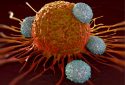 Illustration depicting T cells attacking cancer cells.